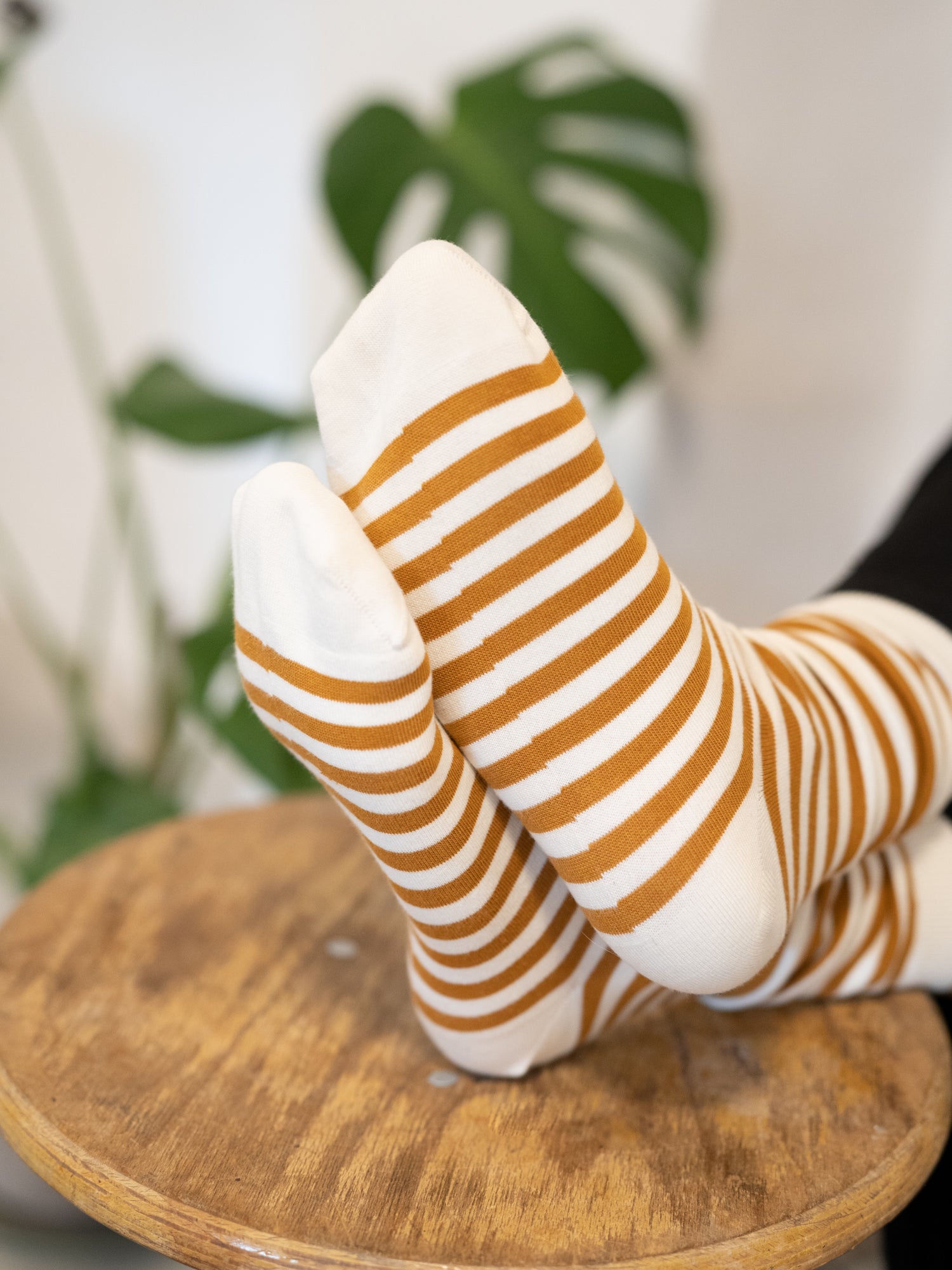 Nachhaltige Fair Fashion Unisex Socken von FUXBAU in cremeweiss senf gestreift aus 100% Biobaumwolle.